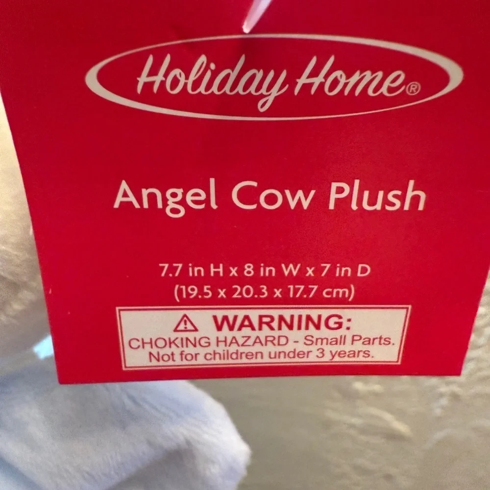 Holiday Home adorable angel